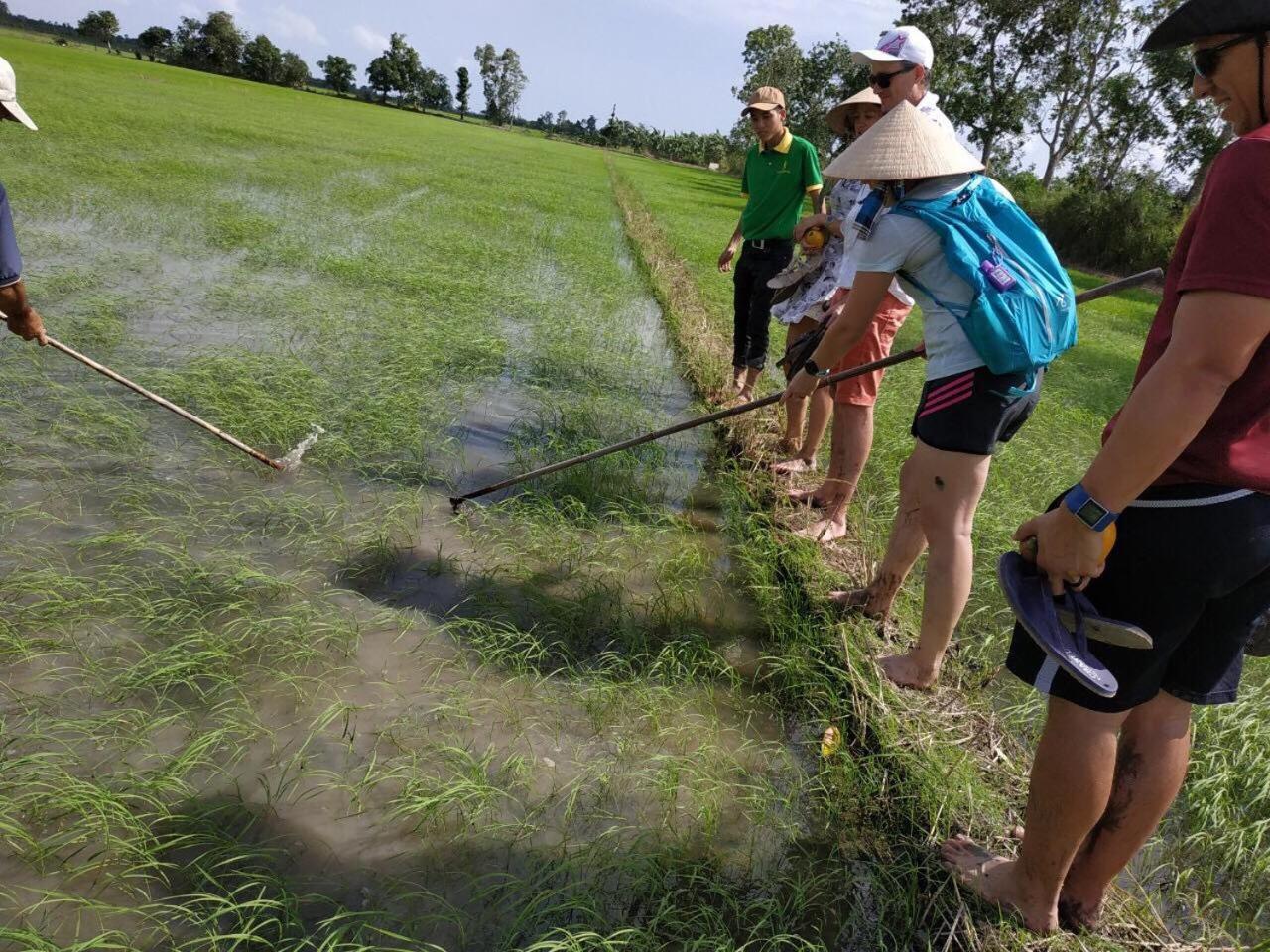 Winter Spring Homestay Cần Thơ Kültér fotó